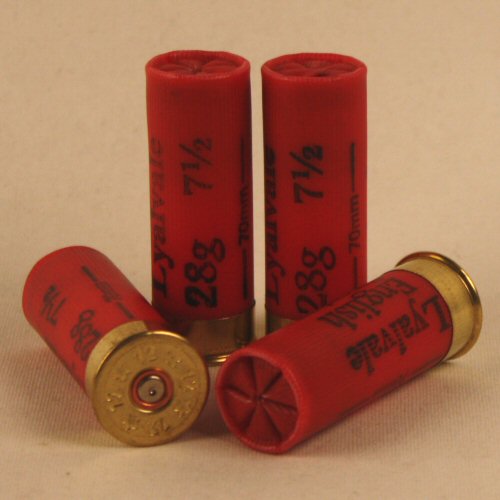 Photo of red shells